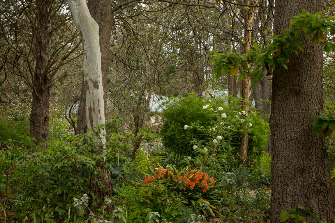 Bickley Vale 