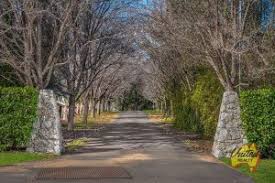 Ellis Lane