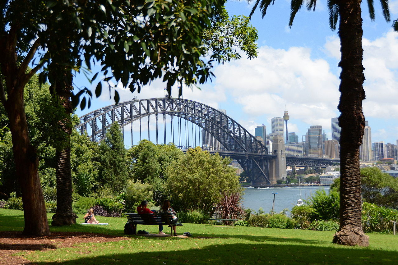 Lavender Bay 