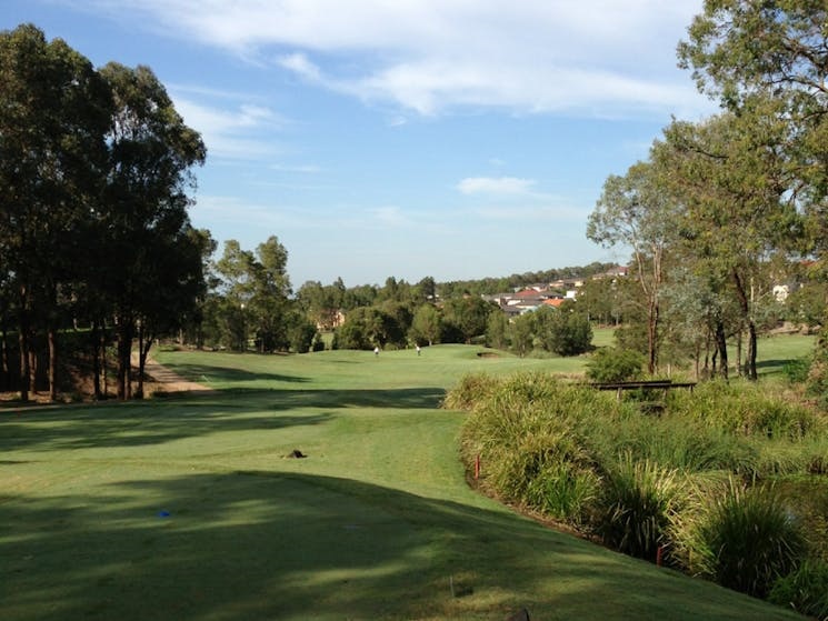 Macquarie Links 