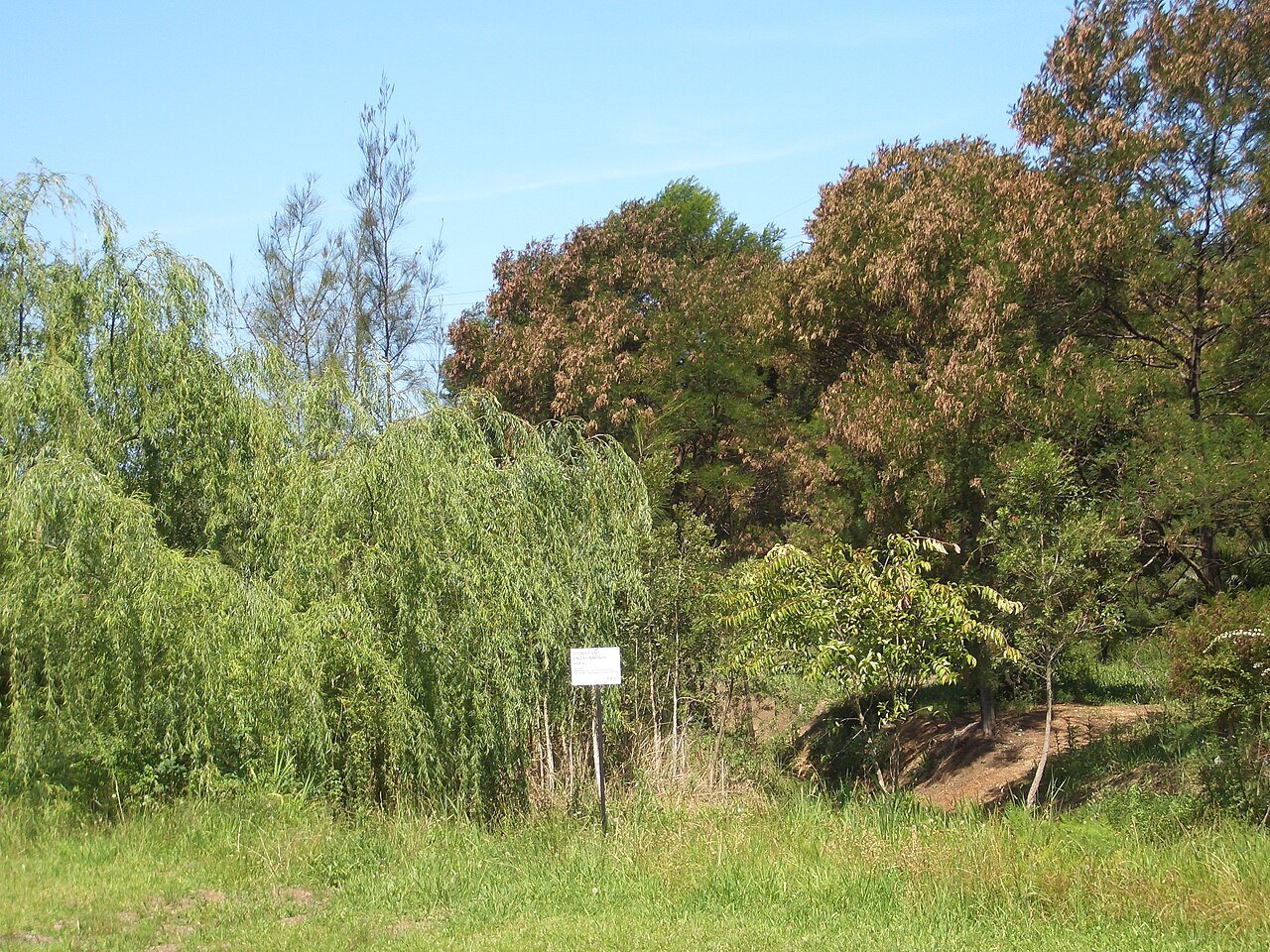 Potts Hill